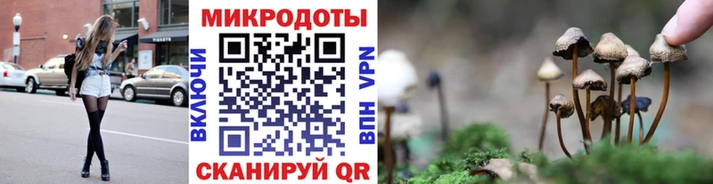 Псилоцибиновые грибы Psilocybe  где найти   MEGA маркетплейс  Минусинск 